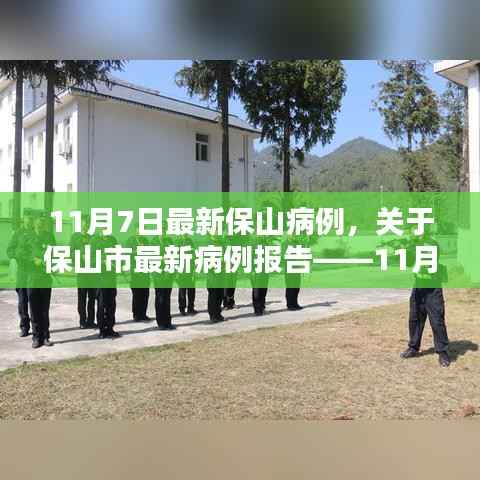保山市最新病例报告，11月7日疫情分析与分析