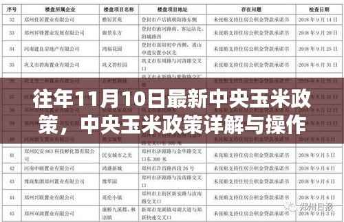 中央玉米政策详解与操作指南，以最新政策为例，探讨玉米市场趋势与操作策略