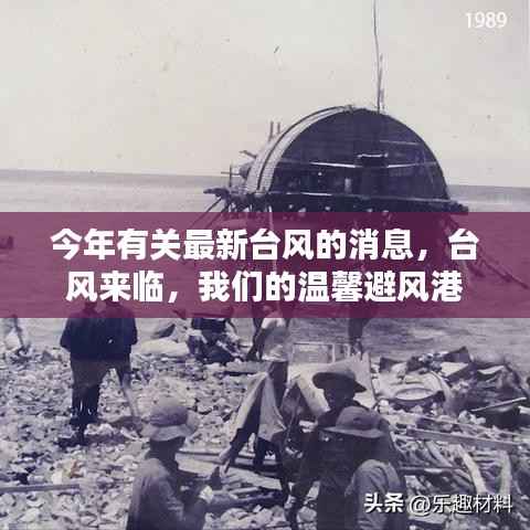 最新台风来袭，温馨避风港守护你我