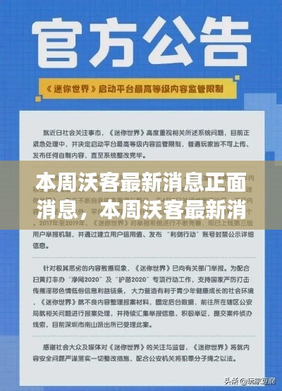 本周沃客最新正面消息解读与观点阐述