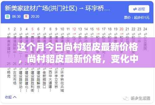 尚村貂皮最新价格动态，学习成长与自信成就感的源泉