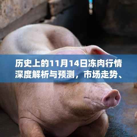 历史上的11月14日冻肉行情深度解析与预测，市场走势、影响因素及前景展望