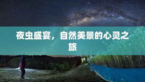 夜虫盛宴，自然美景的心灵之旅