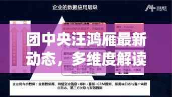 团中央汪鸿雁最新动态，多维度解读与深度剖析的启示（11月14日最新消息）