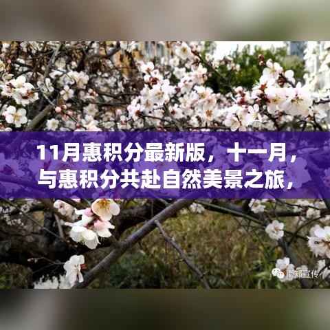11月惠积分最新版，与自然美景共赴内心平和之旅