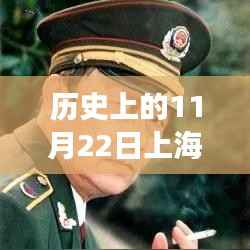 上海历史上的11月22日命案深度解析与观点探讨