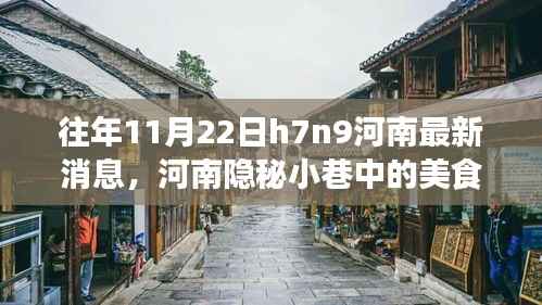 河南隐秘小巷美食秘境,探寻H7N9背后的故事与独特风味在往年11月22日揭秘之旅