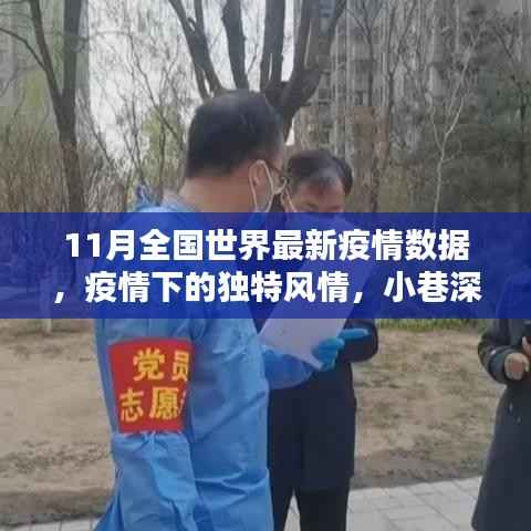 11月全球最新疫情数据，小巷特色小店中的疫情风情与全国实时动态分析