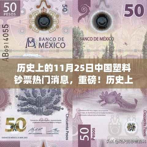 历史上的11月25日,中国塑料钞票掀起热潮