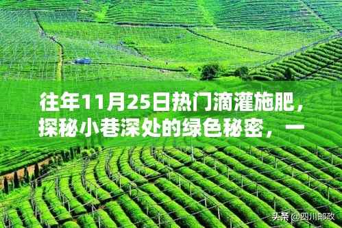 探秘绿色秘密,神奇滴灌施肥小店的秘籍分享