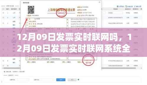 12月09日发票实时联网系统全面介绍与评测，联网实时性探讨