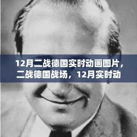 二战德国战场回顾，实时动画图片解析与影响探讨（附动画图片）