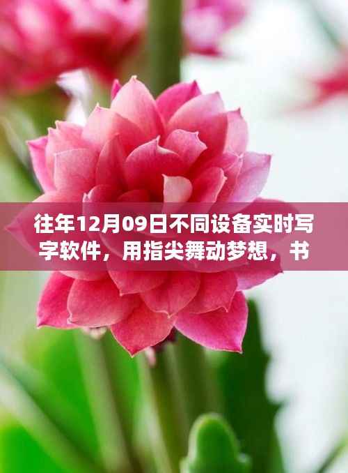 历年十二月九日实时写字软件的指尖梦想与未来无限可能励志之旅