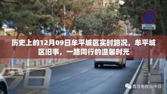 打张鸡儿 第4页