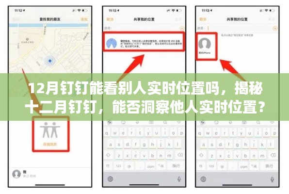 揭秘，十二月钉钉能否查看他人实时位置？