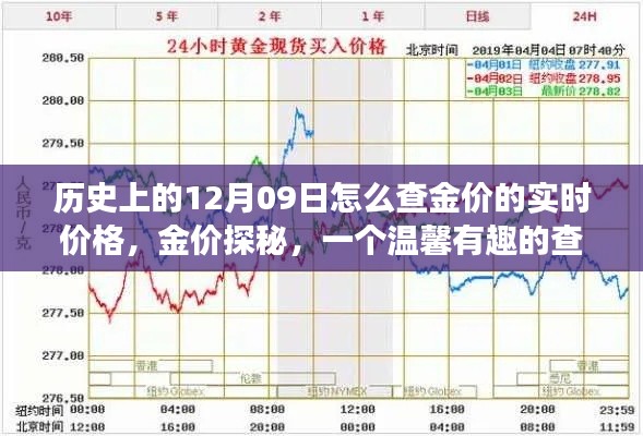 温馨探秘,历史上的金价实时追踪与查金价之旅的启示