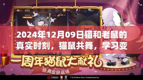 猫和老鼠的真实时刻,学习变革的旋律与自信成就之歌(猫鼠共舞,2024年12月9日)