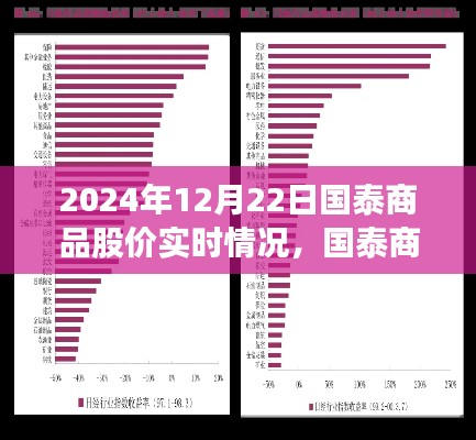 国泰商品股价实时动态，聚焦2024年12月22日的股市风云分析