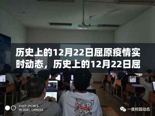 历史上的12月22日屈原疫情实时动态，全面解析与行动指南