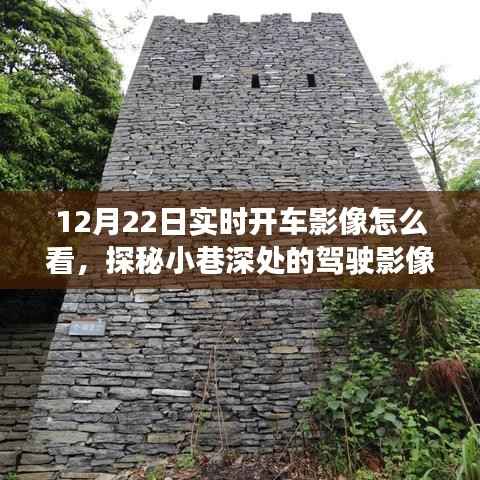 探秘实时开车影像,揭秘12月22日小巷深处的驾驶秘境之旅