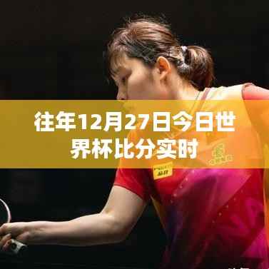 世界杯历年12月27日赛事比分回顾
