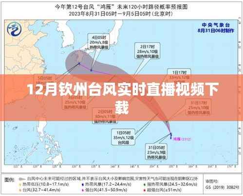 台风来袭！钦州实时直播视频下载见证风雨瞬间
