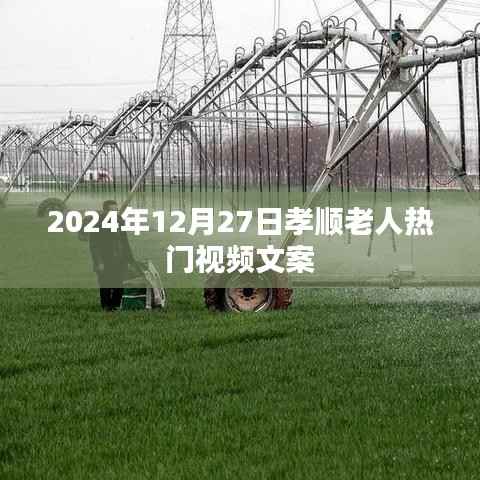 孝顺老人热门视频,关爱与陪伴的温暖时光