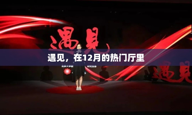 遇见十二月热门厅
