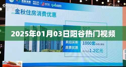 阳谷热门视频一网打尽，最新动态一网收录