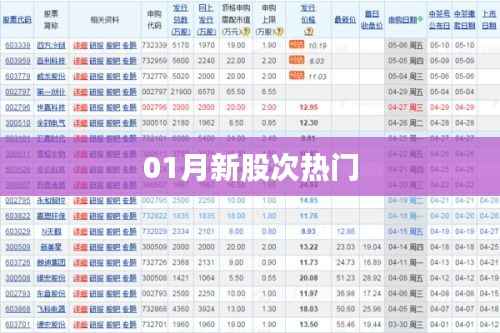 新股次热门动向解析