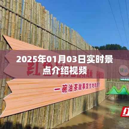 『2025年景点探秘,实时介绍视频』