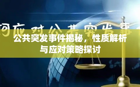 公共突发事件揭秘,性质解析与应对策略探讨