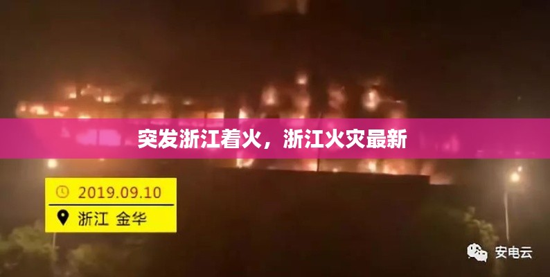 突发浙江着火,浙江火灾最新