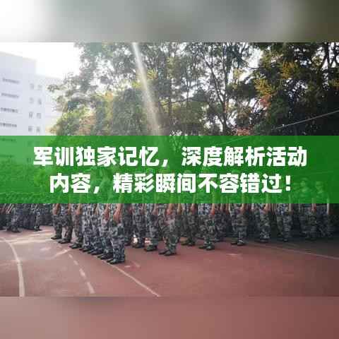 军训独家记忆，深度解析活动内容，精彩瞬间不容错过！
