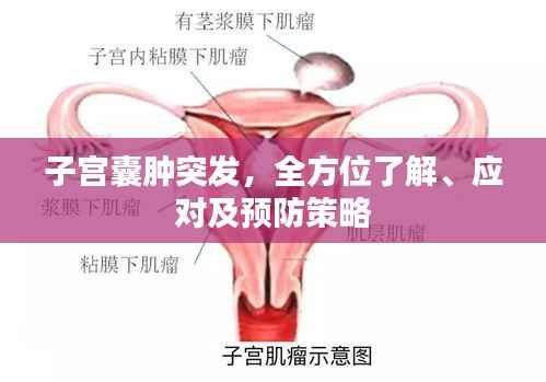 伸手不见五指