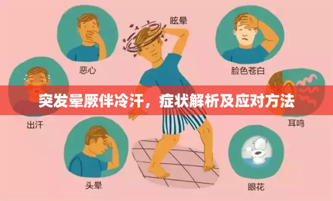 衣无二彩