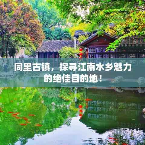 同里古镇，探寻江南水乡魅力的绝佳目的地！