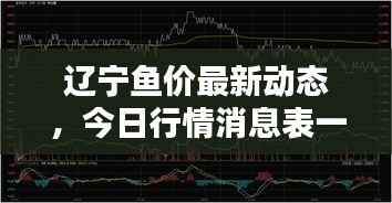 辽宁鱼价最新动态，今日行情消息表一网打尽！