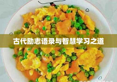 鸟穷则啄