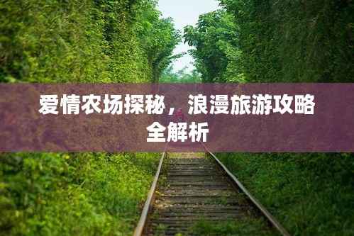 爱情农场探秘，浪漫旅游攻略全解析
