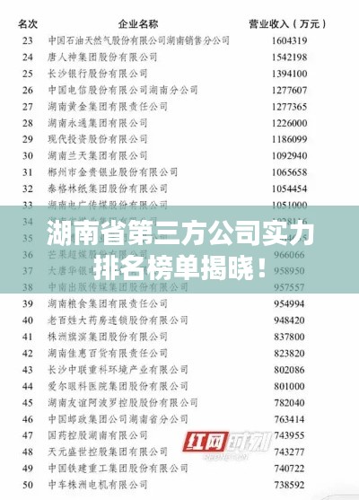 湖南省第三方公司实力排名榜单揭晓!