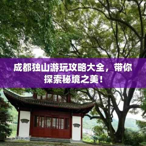翰飞戾天