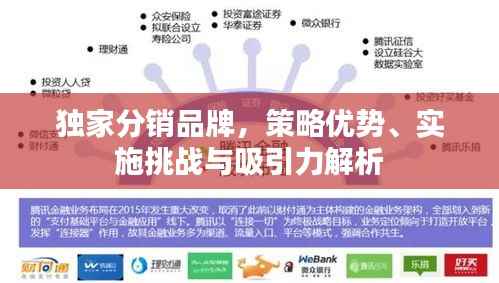 独家分销品牌，策略优势、实施挑战与吸引力解析