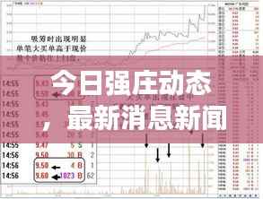 今日强庄动态,最新消息新闻抢先看