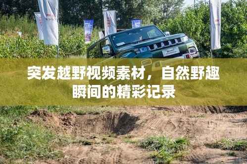 突发越野视频素材,自然野趣瞬间的精彩记录