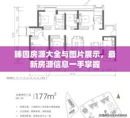 臻园房源大全与图片展示，最新房源信息一手掌握