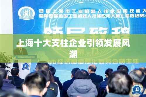 上海十大支柱企业引领发展风潮
