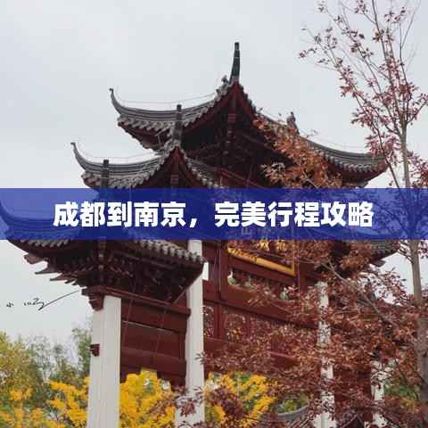 成都到南京,完美行程攻略