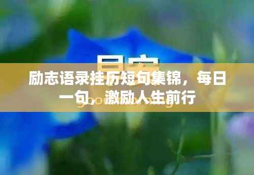 励志语录挂历短句集锦,每日一句,激励人生前行