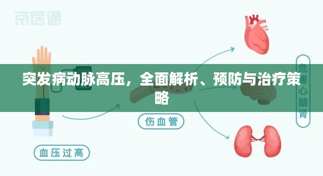 突发病动脉高压,全面解析、预防与治疗策略